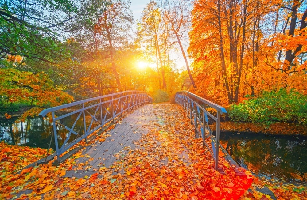 best walks in London