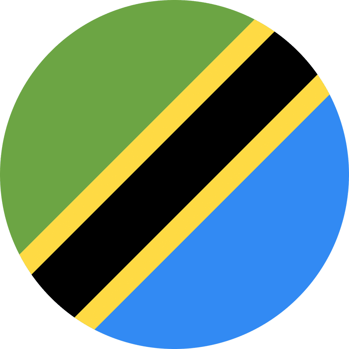 Track Tanzania Visa Status Checker